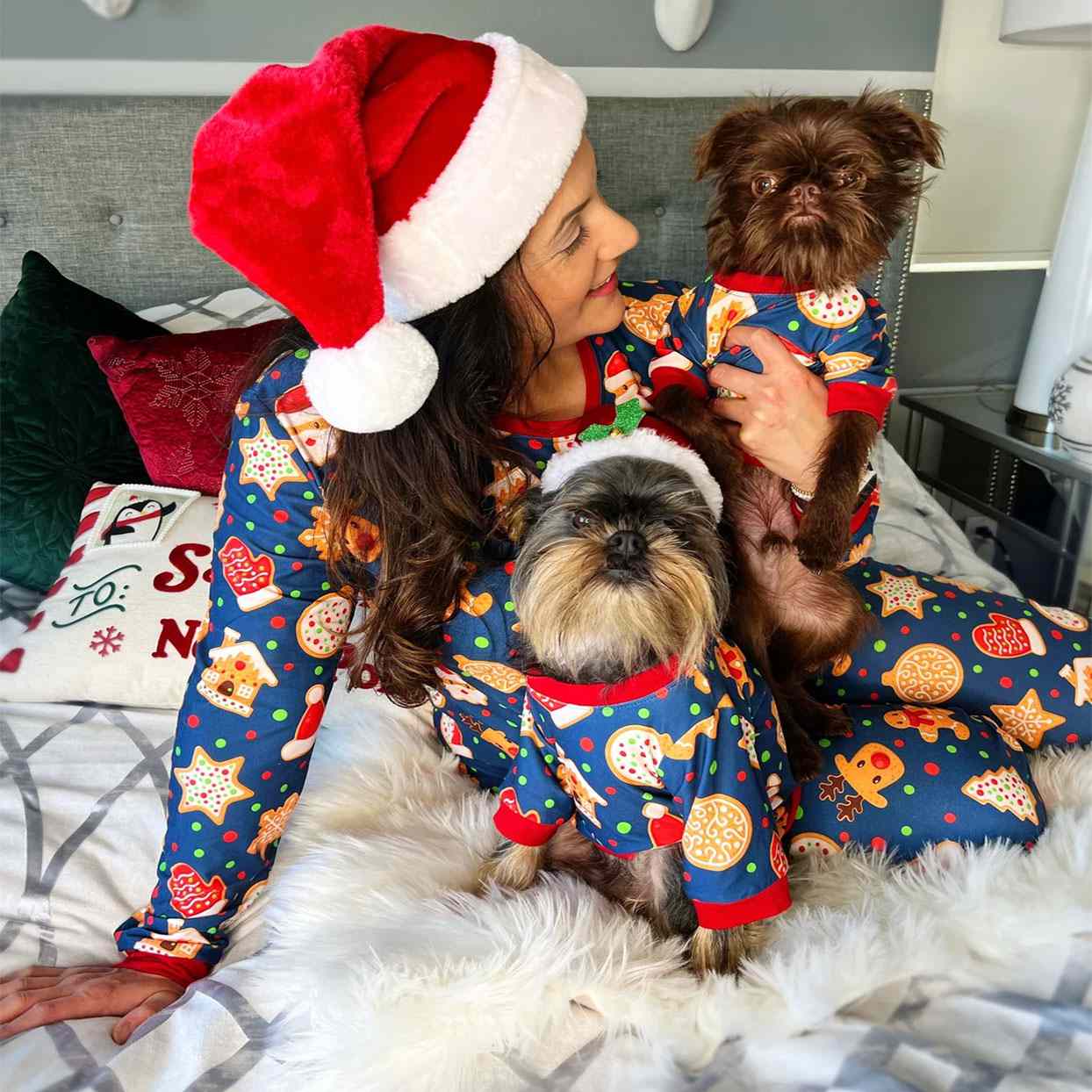 gingerbread matching pet owner pajamas