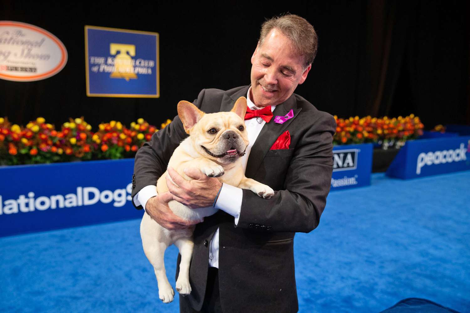 Handler and part owner, Perry Payson, holding the 2022 National Dog Show winner, Winston, the french bulldog