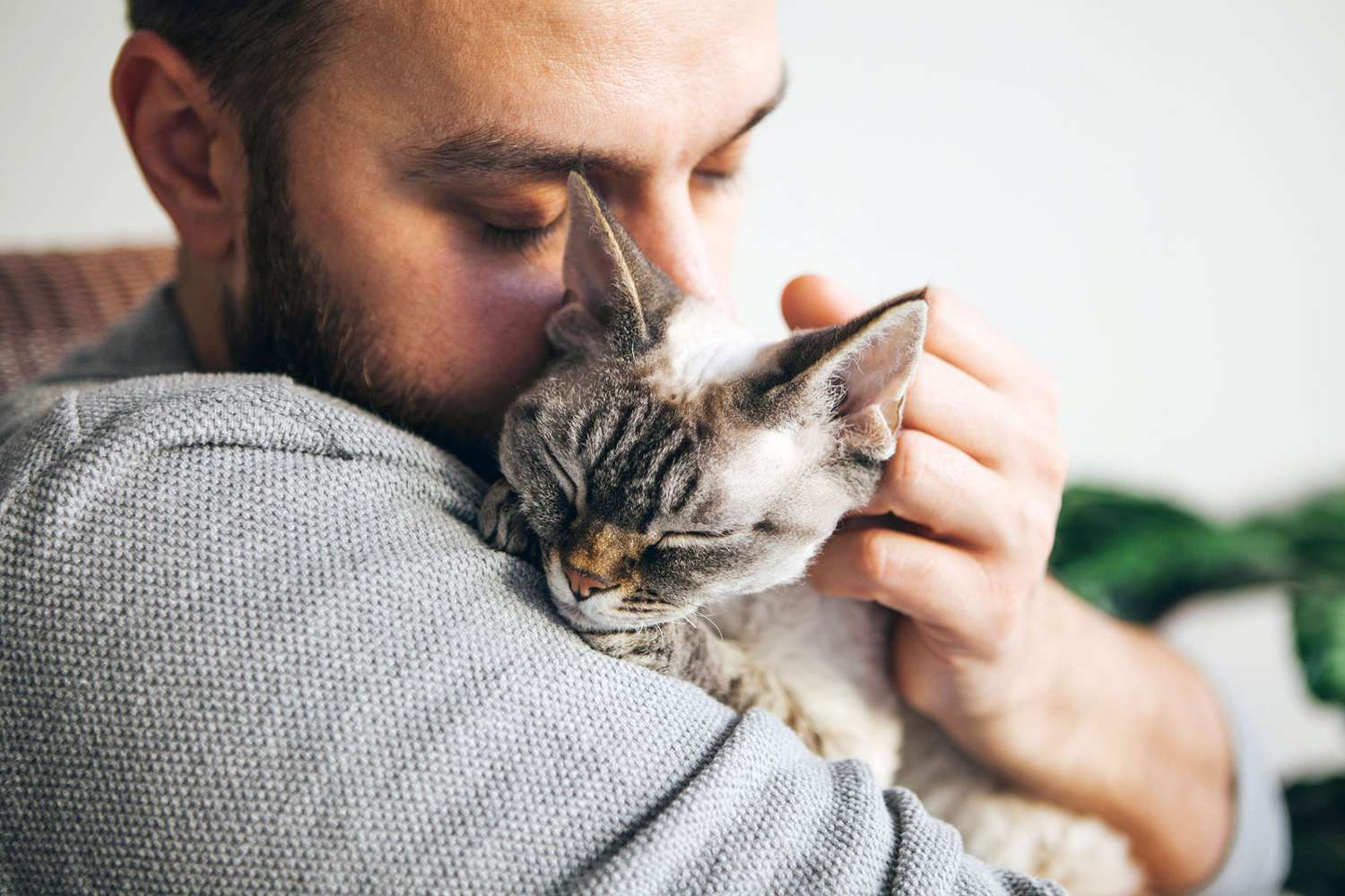 man cuddling with cat; are male cats more affectionate?