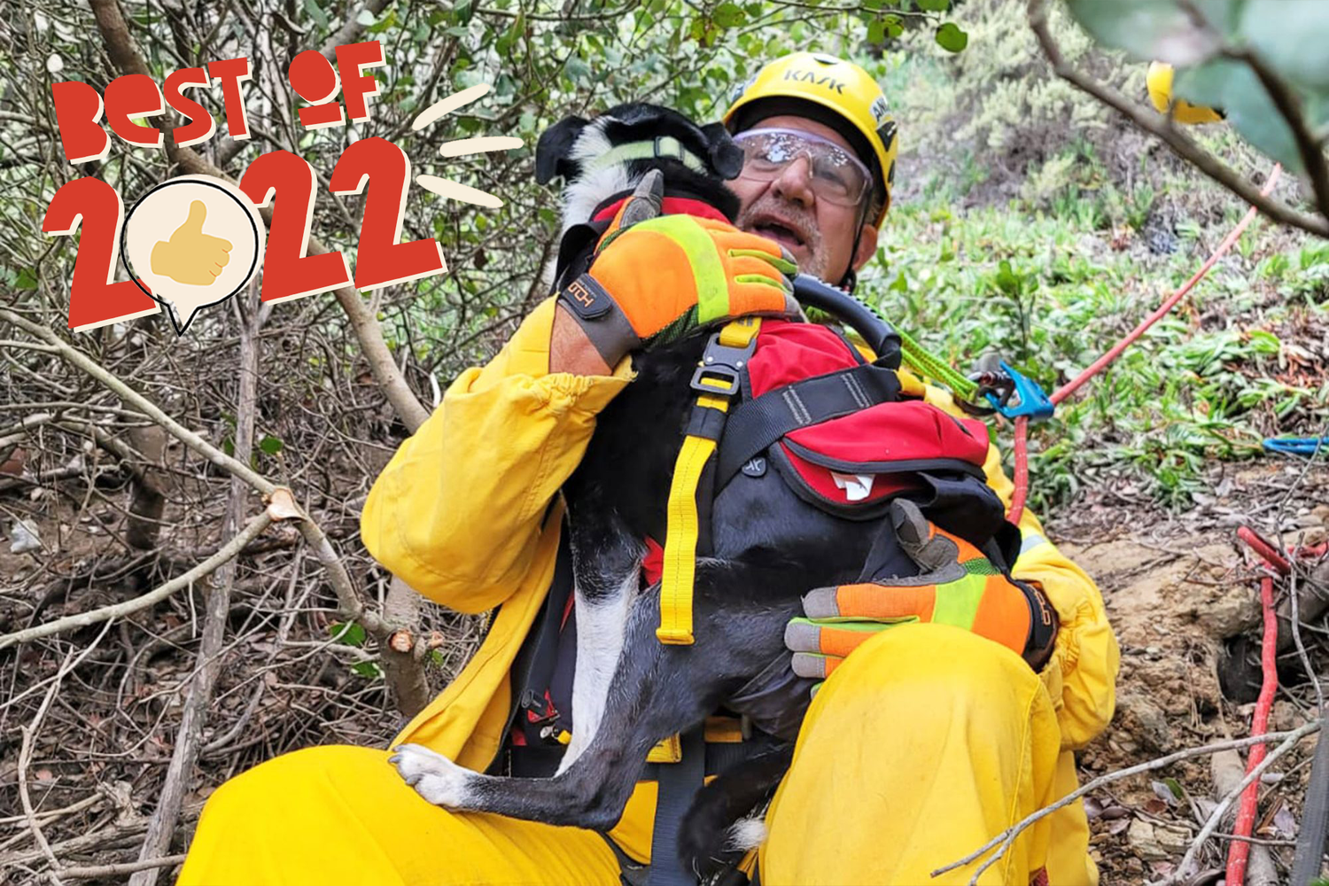 man rescuing dog from 100 foot cliff