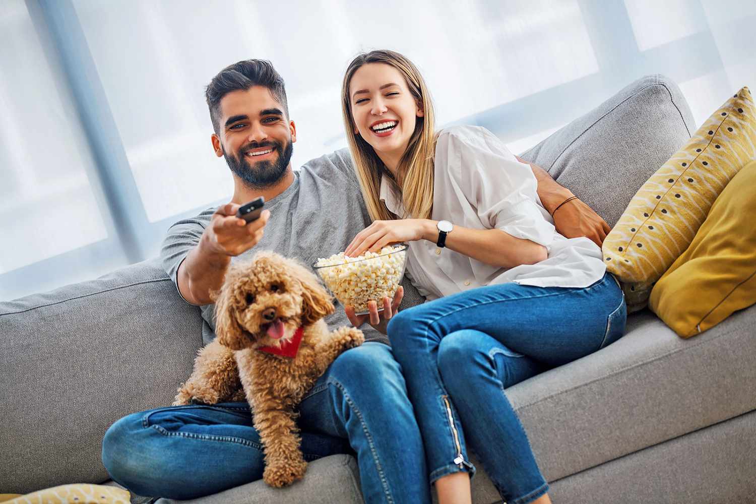 couple watching a movie with their dog; what to watch with your dog