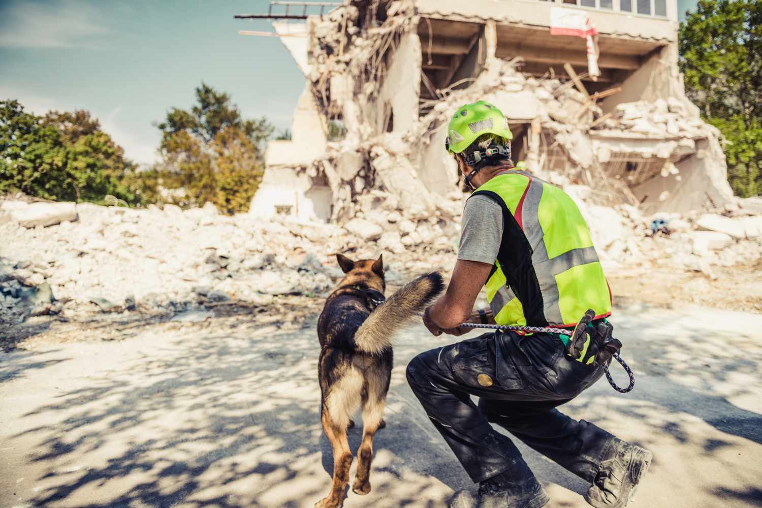 a rescue worker and german shepherd search-and-rescue dog stand in front of a damaged building