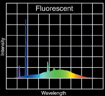fluorescent light wavelengths