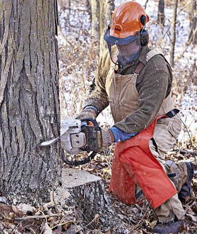 What You Need to Chainsaw Your Own Lumber