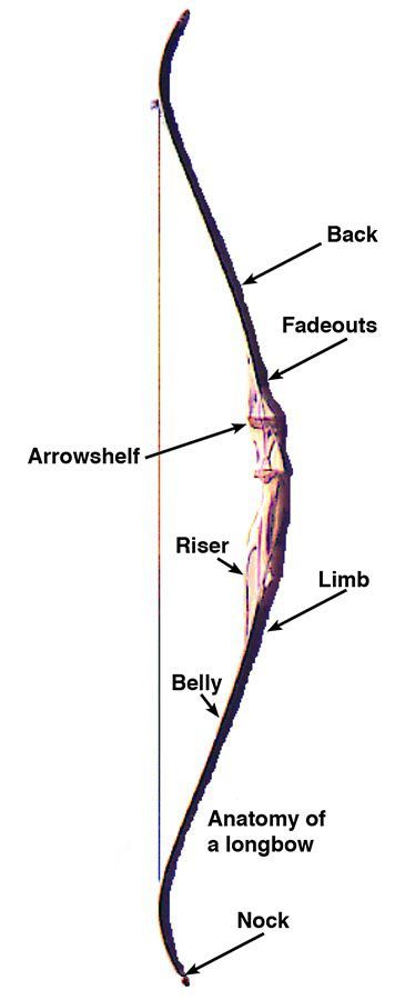 anatomy of a longbow