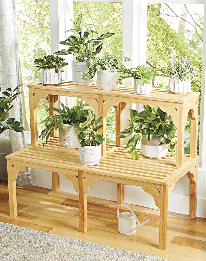 Photo of plant shelves