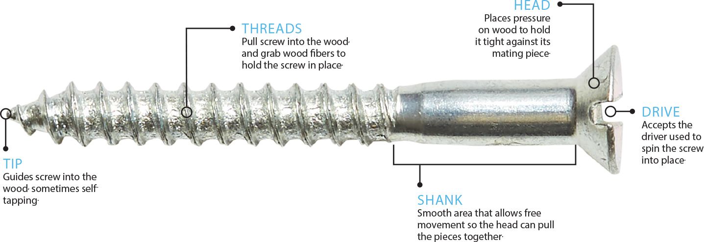 Parts of a screw