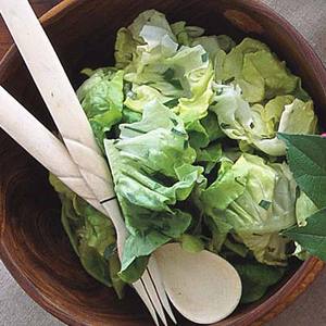 Bibb Lettuce and Herb Salad 