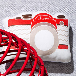 Camera Pillow