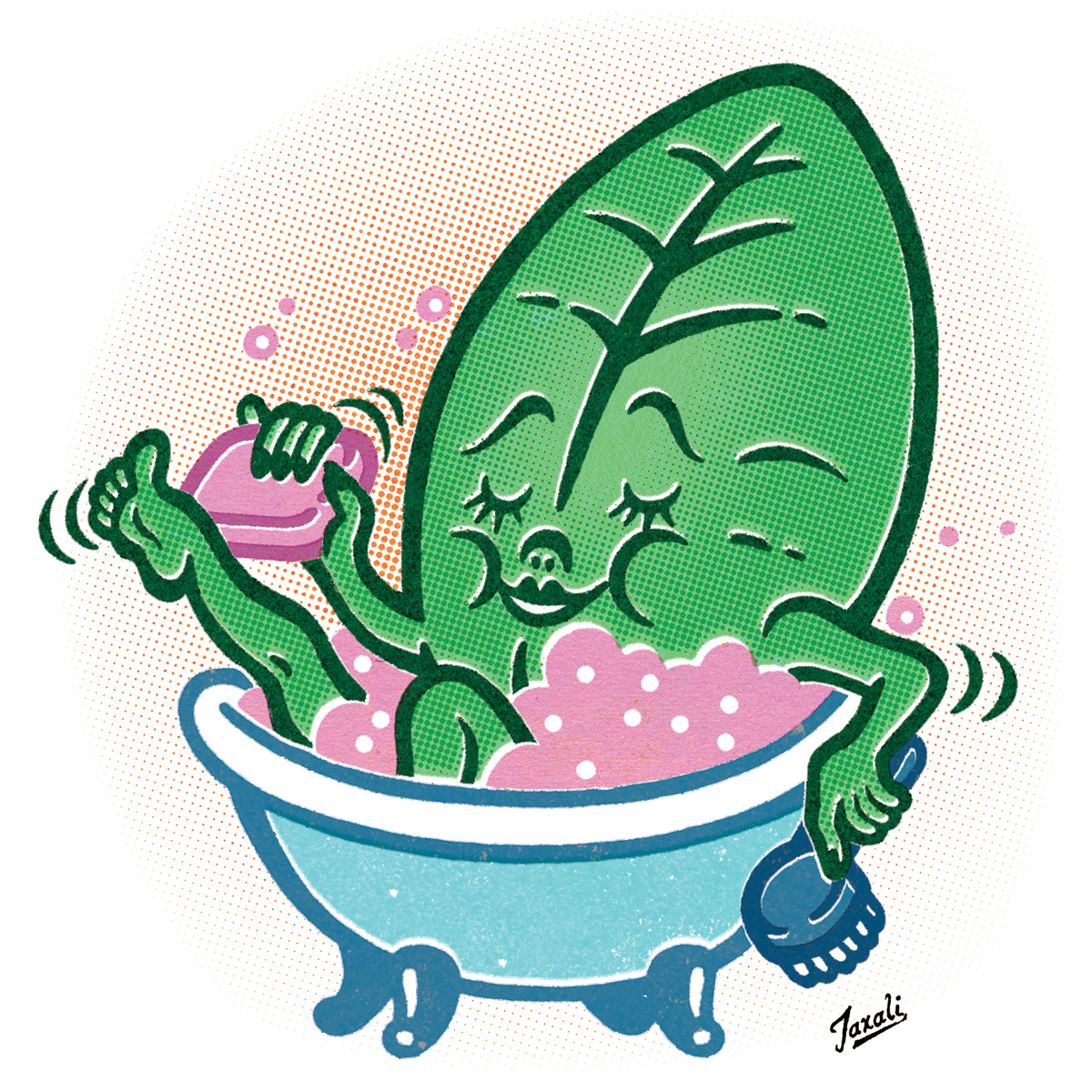 illustration of basil leaf in bathtub