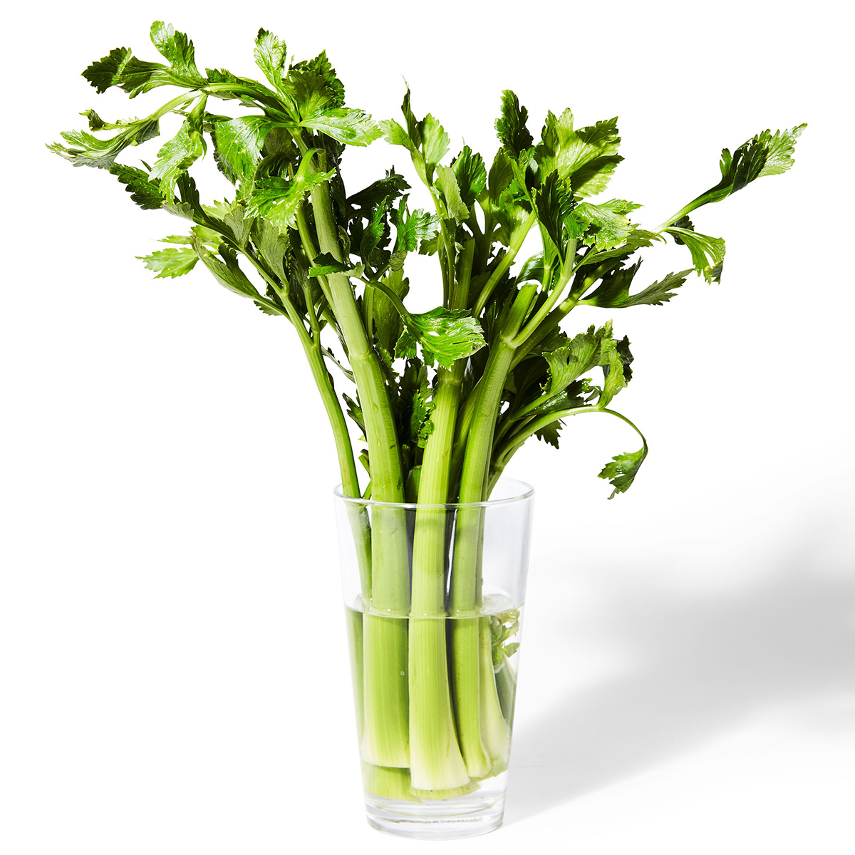 celery stalks in water glass