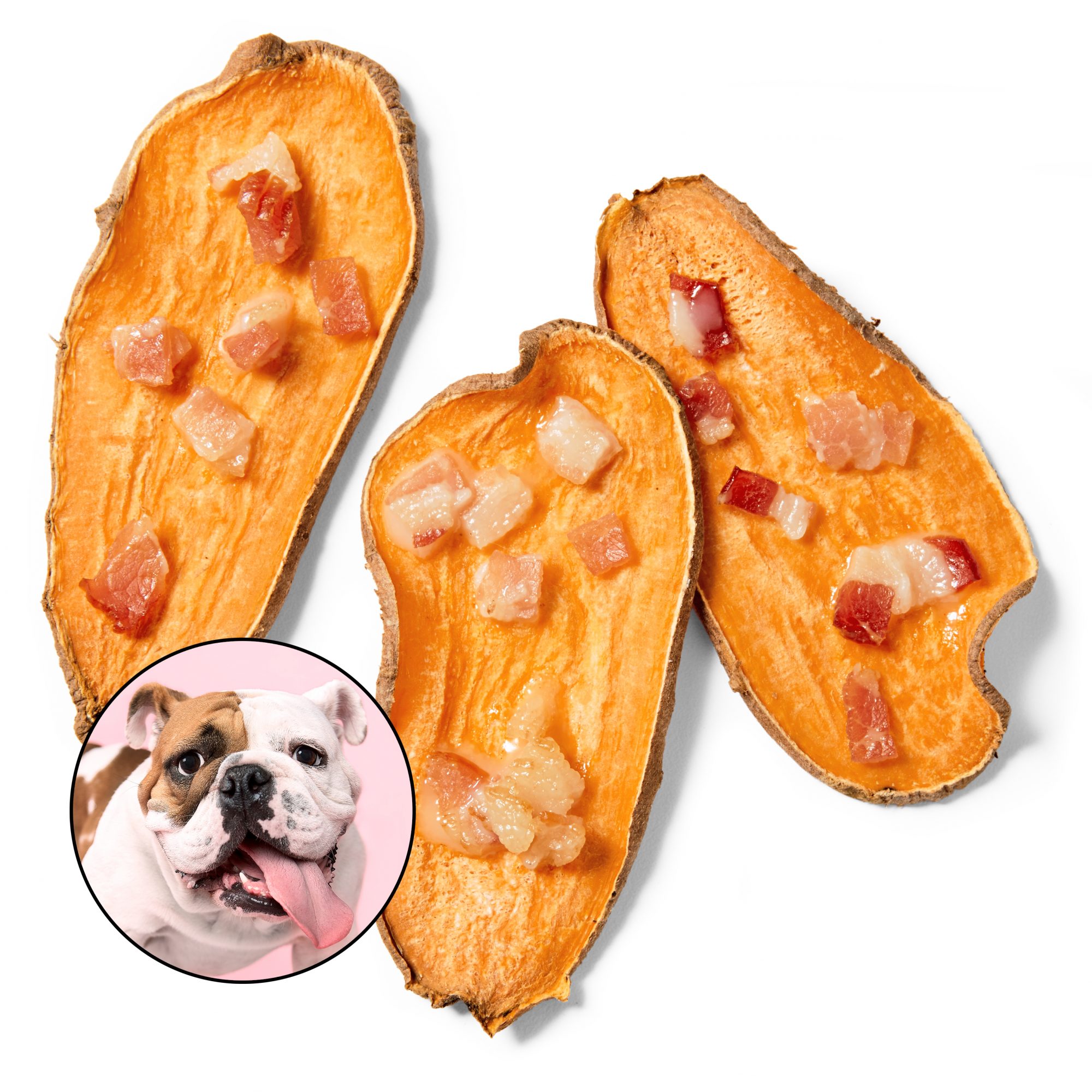 sweet potato skin pet treats with dog