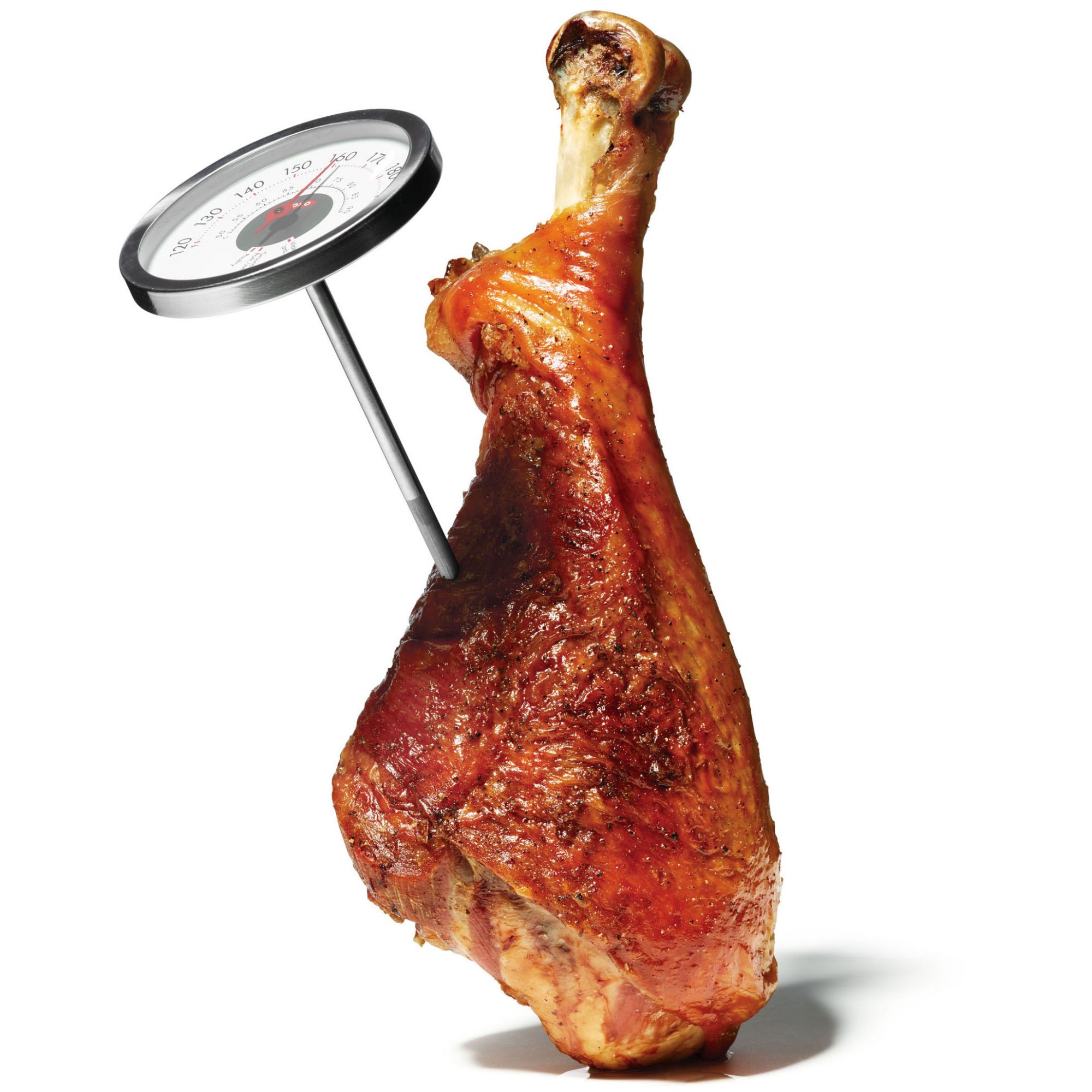 thermometer in turkey leg