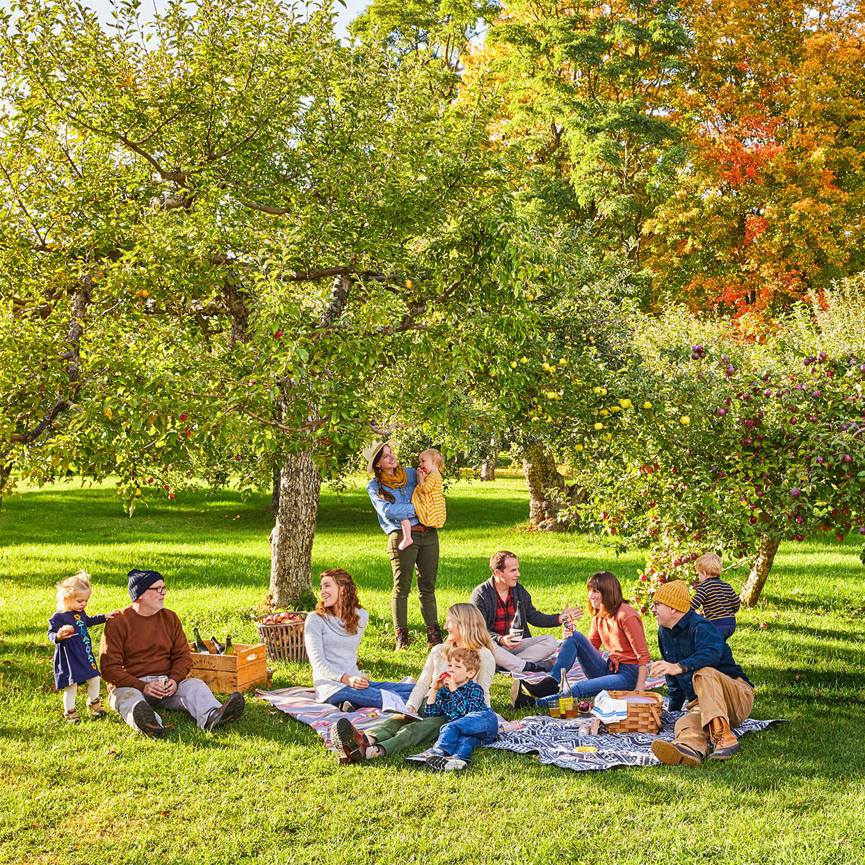 family picnic at apple orchard