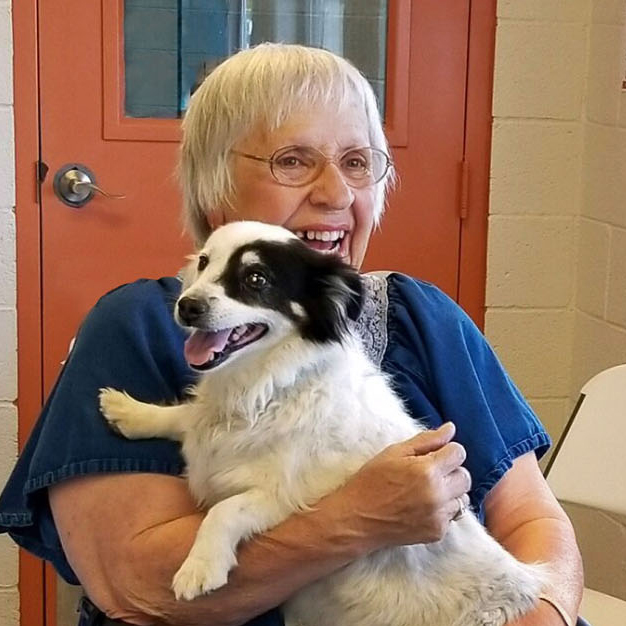 woman in blue shirt holding black and white dog
