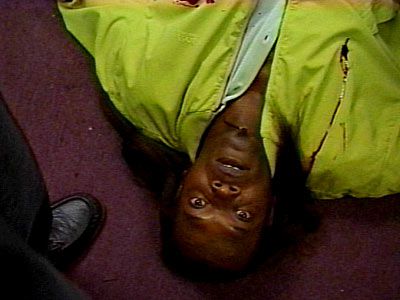 Samuel L. Jackson, Jackie Brown (Movie - 1997)
