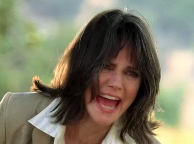 Sally Field, Brothers & Sisters