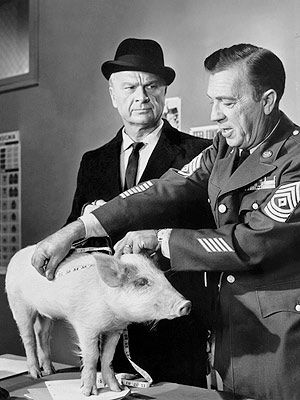 Green Acres Talk about hogging the spotlight! Eddie Albert was twice nominated for an Academy Award, but all the pig known as Arnold Ziffel had