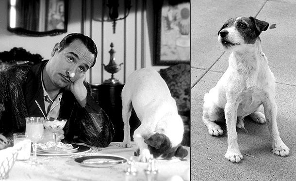 The Artist Not only is Uggie, ahem, fetching in a bow tie , he is a legitimate life saver. During the film's climactic scene, only