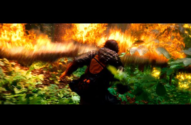 The Hunger Games | Question: If a burning tree falls in a forest, does anyone hear it? Answer: For god's sakes, help me, I'm on fire!!!!!