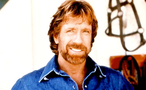 Al Pacino, Serpico, ... | Fact: Chuck Norris holds the Guinness World Record for the most beard-related killings.