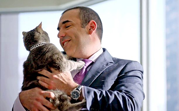 Rick Hoffman | Best Moment: A tie between him baring his bottom during his ''mudding'' outing with Mike and the look of stunned adoration on the feline-lover's face