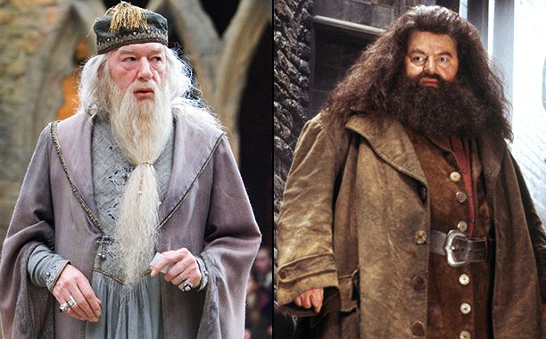 Dumbledore and Hagrid, Harry Potter series