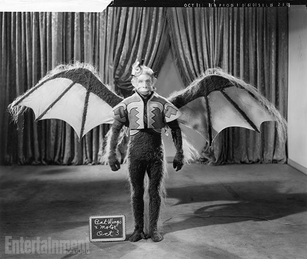 The Wizard of Oz | The men who were hired to play the winged monkeys were attached to ''bat wings'' and a small motor suited to power windshield-wipers.