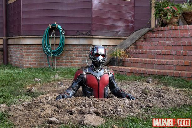 Ant-Man (Paul Rudd)