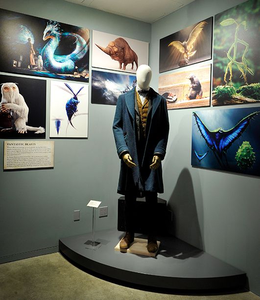 Harry Potter and Fantastic Beasts's Magical New Exhibit