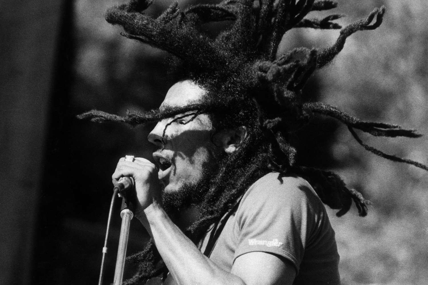 Bob Marley in&nbsp;1980