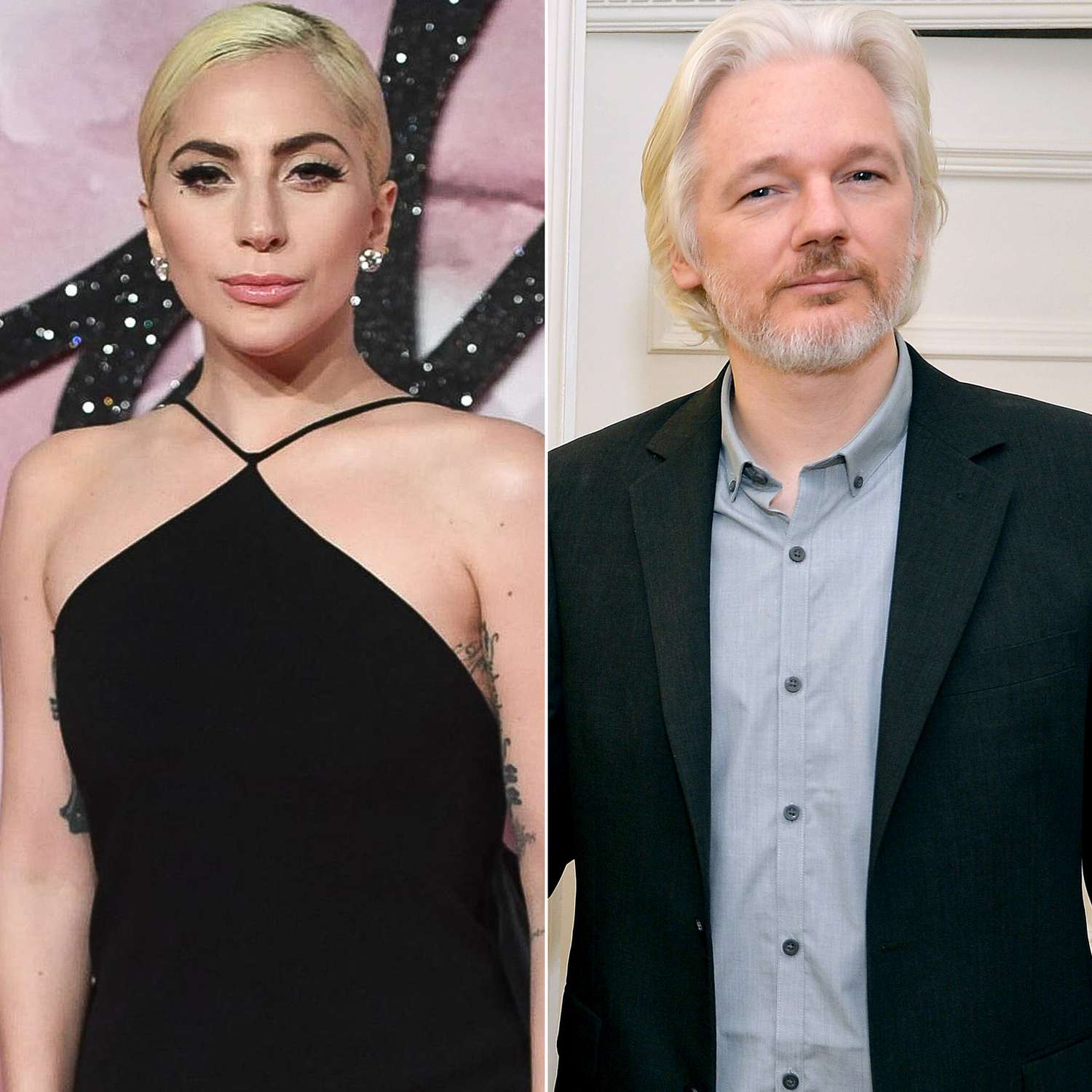 Lady Gaga and Julian Assange