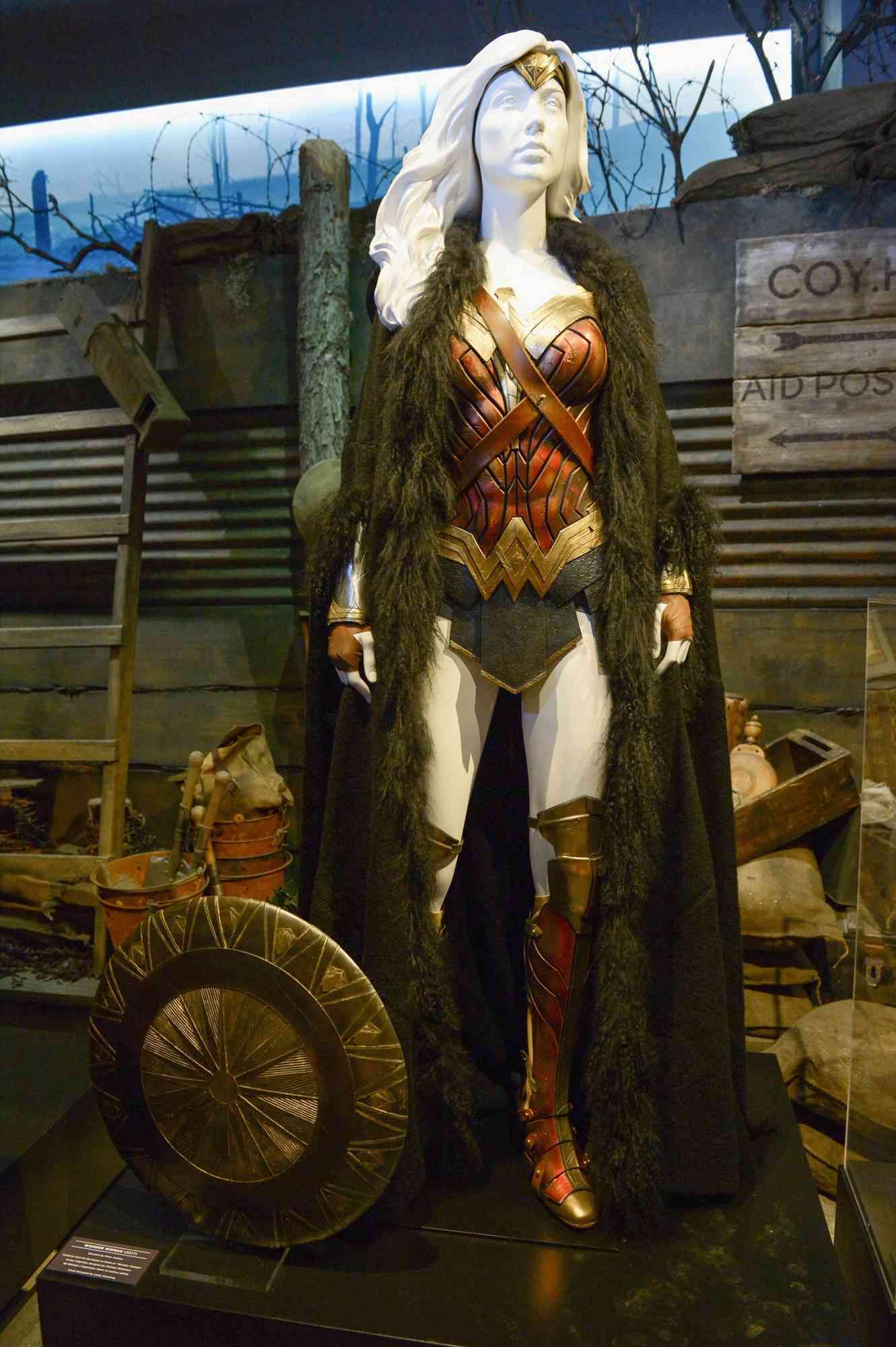 Wonder Woman in No Man's Land