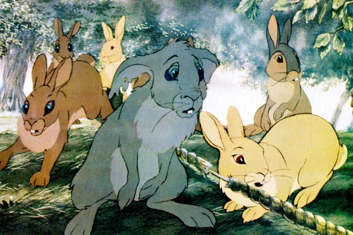 WATERSHIP DOWN, 1978, &copy; Avco Embassy/courtesy Everett Collection