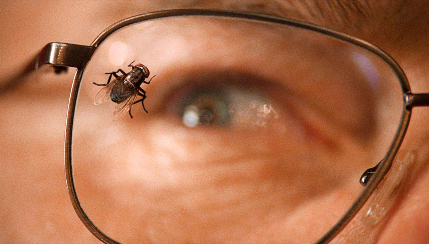Breaking Bad, The Fly