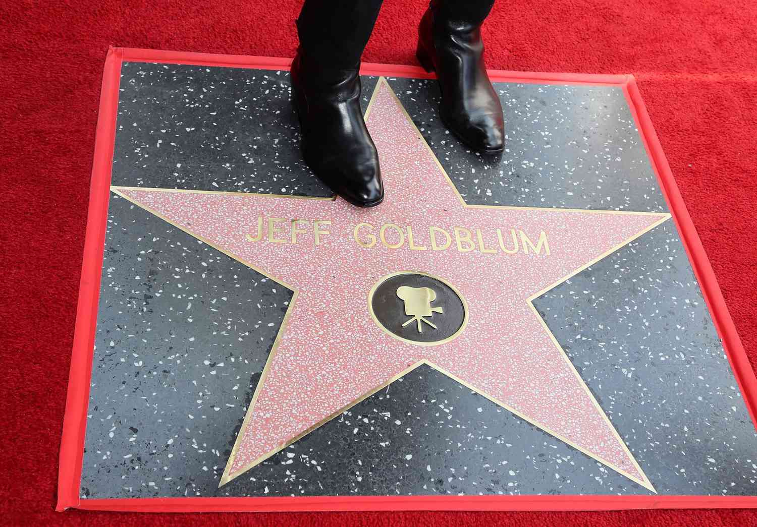 Jeff Goldblum Honored With Star On The Hollywood Walk Of Fame