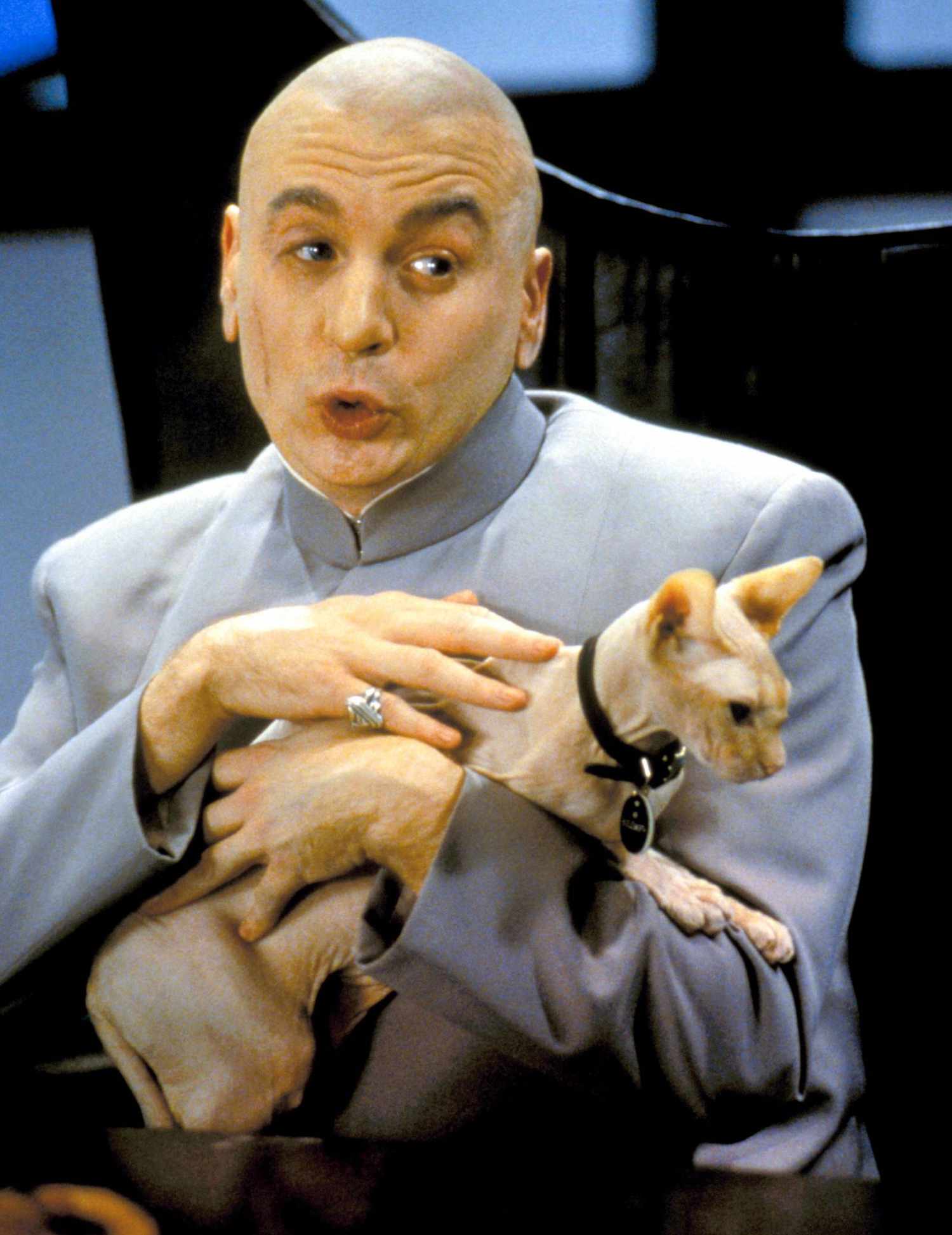 20. Mr. Bigglesworth from the Austin Powers series