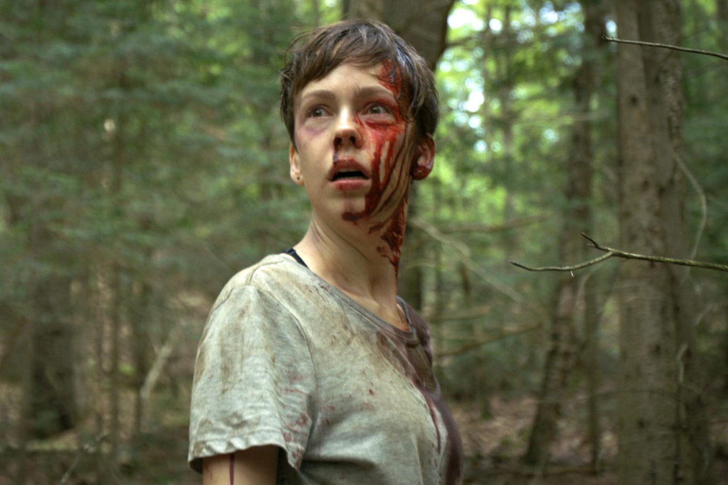 clearly Breakthrough Clean the floor 18 of the best 'cabin in the woods' horror movies | EW.com