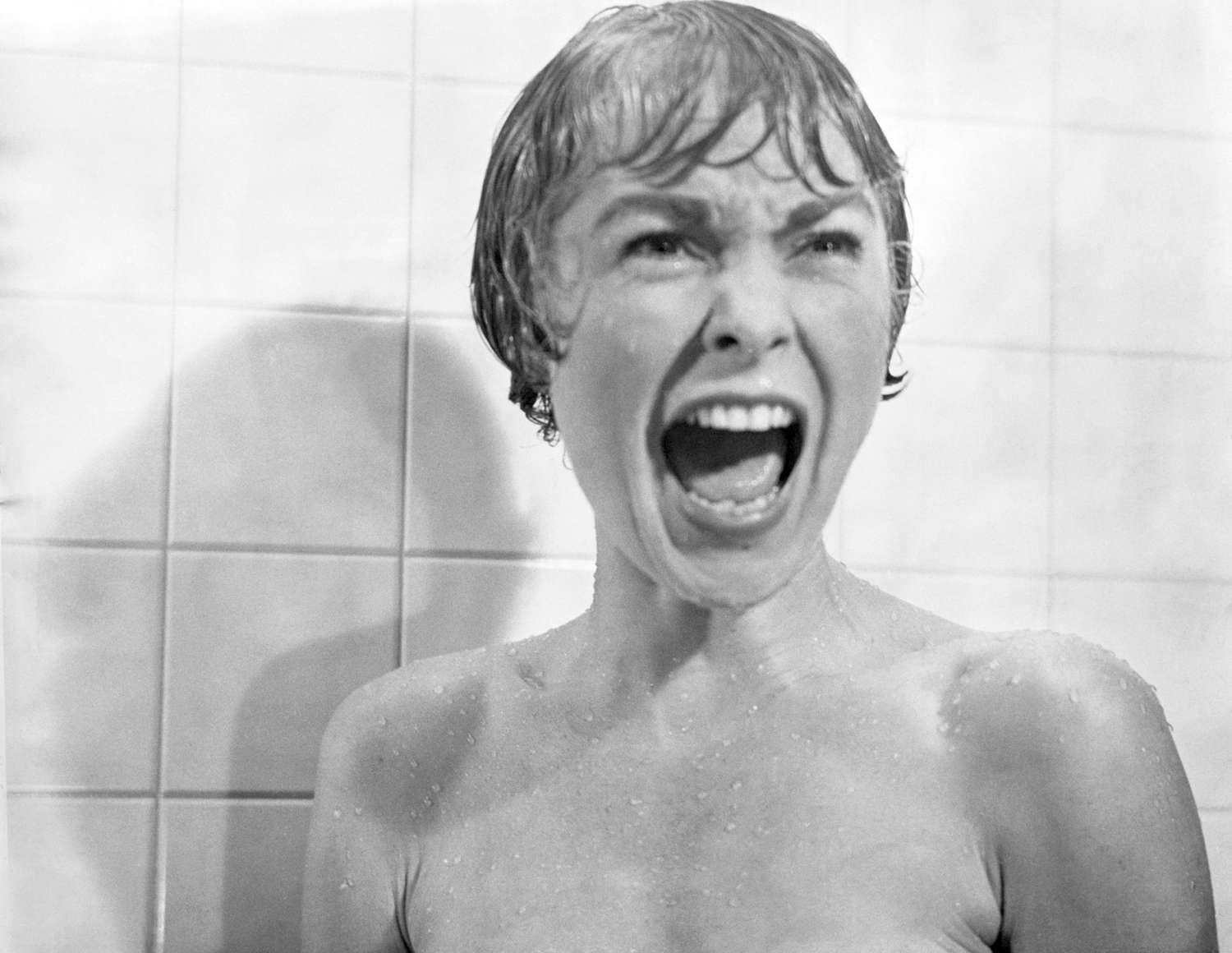 Janet Leigh in&nbsp;Psycho