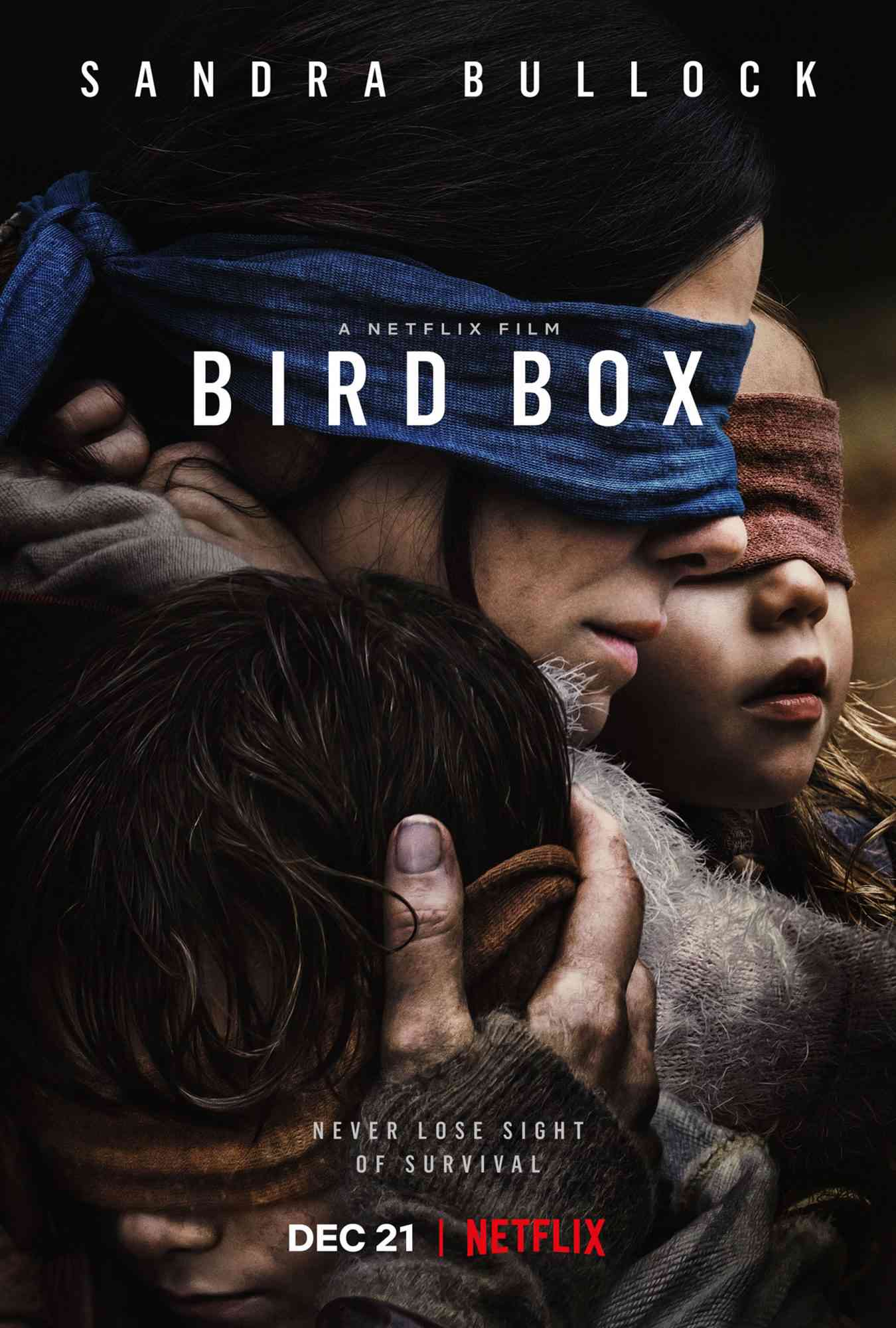 BirdBox_Verical-Main_PRE_US