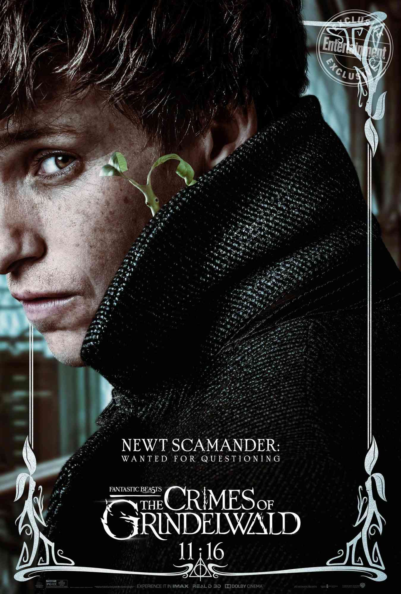 Newt Scamander: Wanted for Questioning