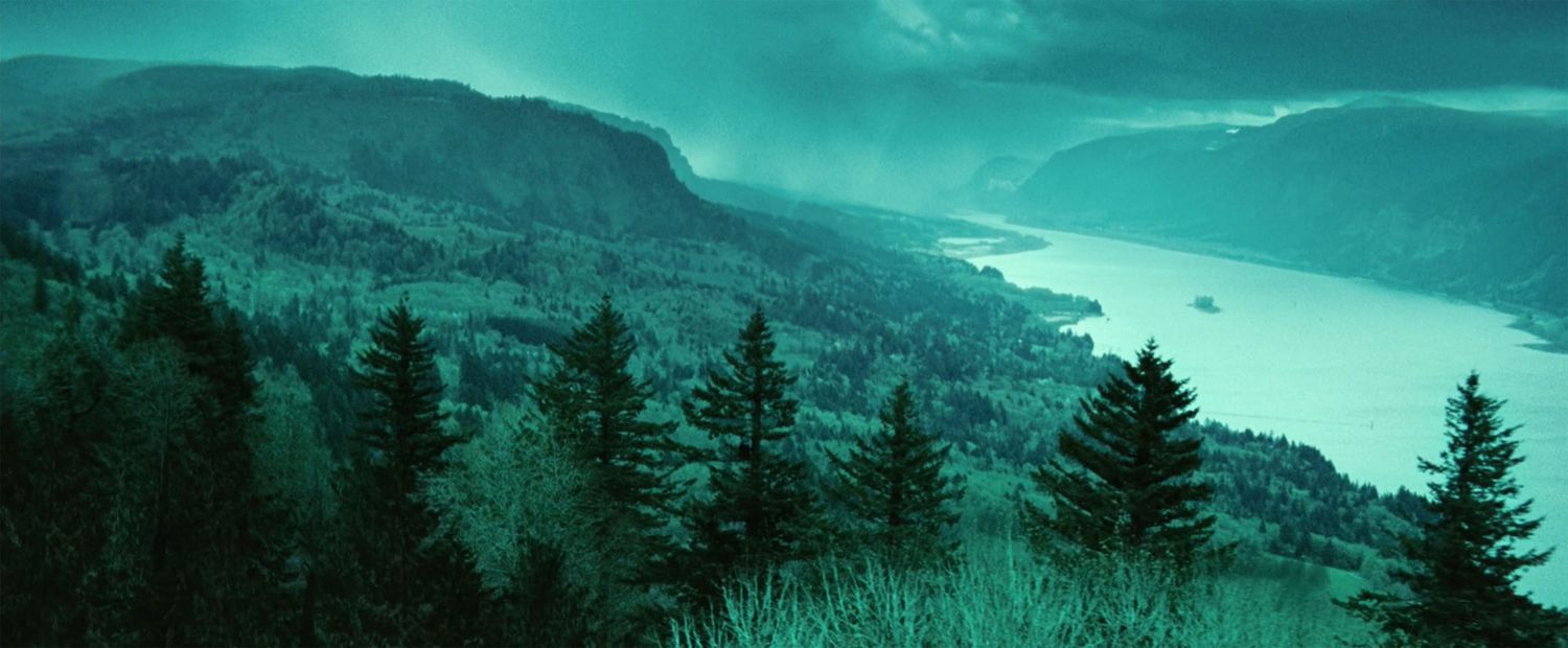 Those misty Pacific Northwest&nbsp;landscape shots