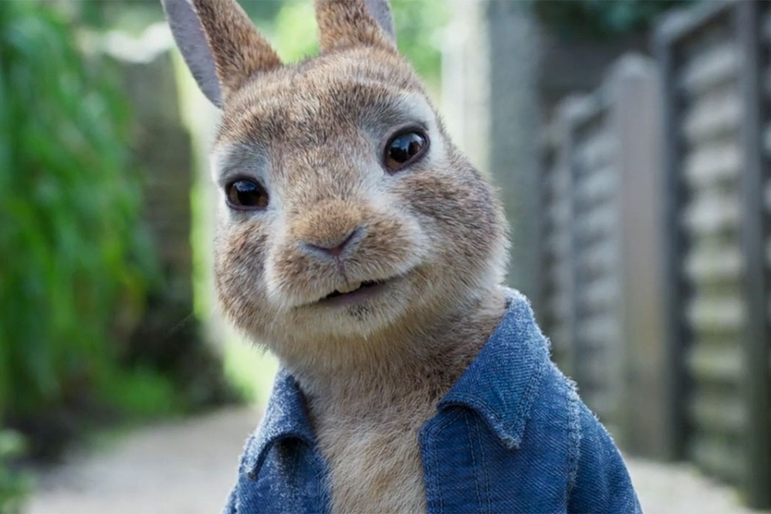 Peter Rabbit 2 credit columbia pictures