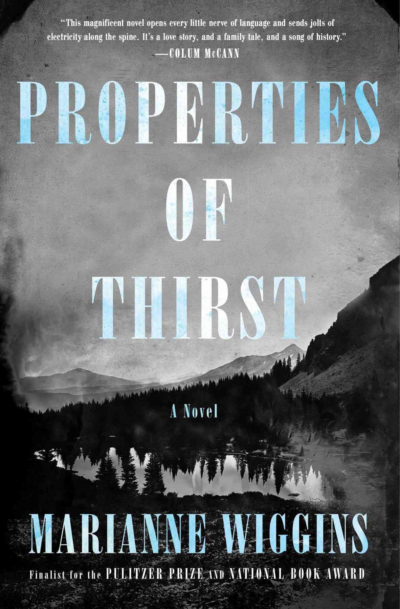Properties of Thirst, Marianne WigginsPublisher ‏ : ‎ Simon + SchusterMost Anticipated Books of 2022