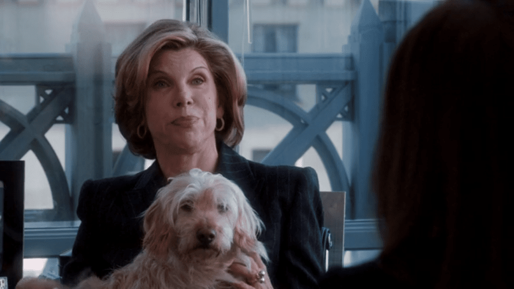 Diane Lockhart and her dog Justice in the series premiere of 'The Good Wife'