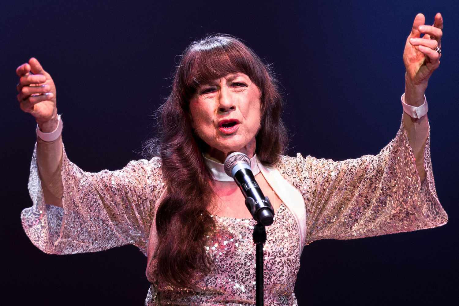Mandatory Credit: Photo by Joel Goodman/Lnp/Shutterstock (3785643h) The Seekers - Judith Durham The Seekers in concert at Bridgewater Hall, Manchester, Britain - 29 May 2014