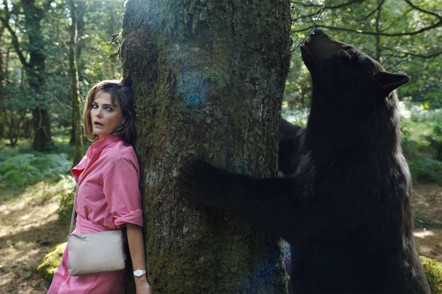 Cocaine Bear, directed by Elizabeth Banks