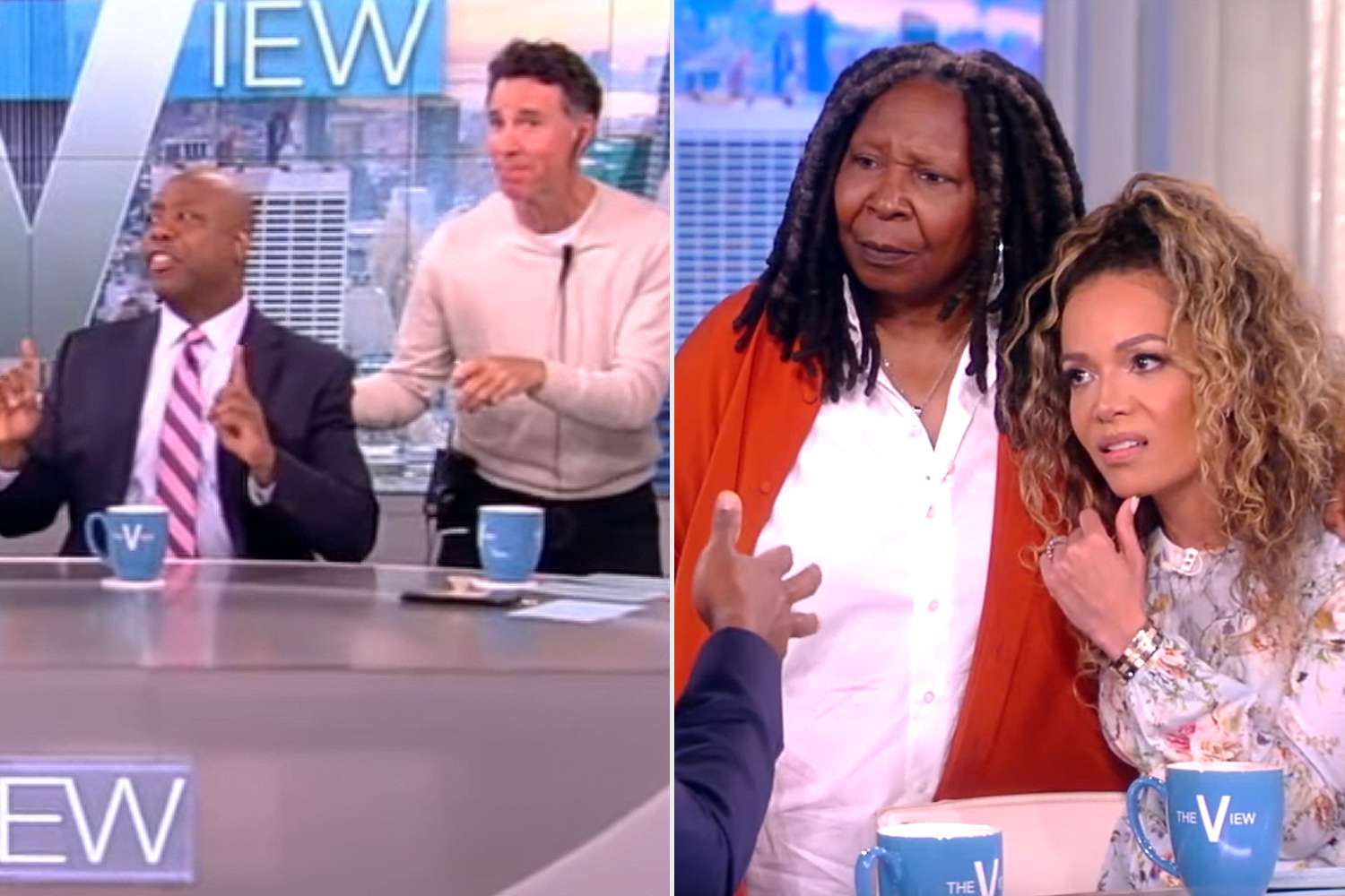 Chaos reigns on 'The View' during Tim Scott interview