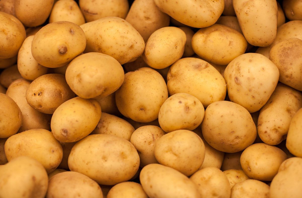 堆土豆