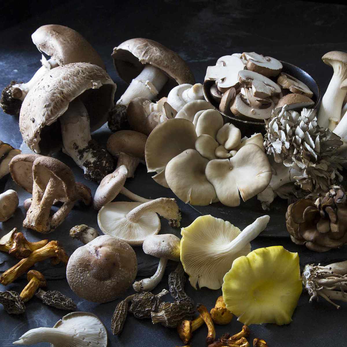 黑色背景上的各种蘑菇
